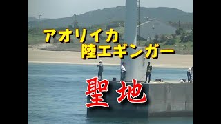 【海釣り情報】春アオリイカを聖地の堤防から狙う！in伊良湖港