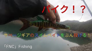 サベージギアのスイムベイトをぶん投げて行く🎣