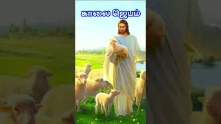 காலை ஜெபம் |எப்படி ஜெபிப்பது |காலை எழுந்தவுடன் ஜெபம் |அதிகாலை ஜெபம் |morning prayer in tamil 26/4/22