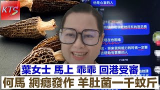 何太網癮發作 吹水話羊肚菌一千蚊一斤 何馬會否乖乖回港受審