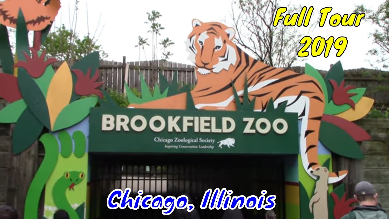 Brookfield Zoo Full Tour - Chicago, Illinois - YouTube