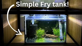 Secrets to Raising Healthy Fish Fry! Fast & Simple Fry tank!