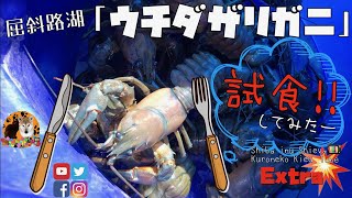 【ザリガニ試食】和琴半島湖畔キャンプ場で「ウチダザリガニ」を食べてみた! カニとエビの中間みたいな味・外来種「ウチダザリガニ」について・屈斜路湖　北海道