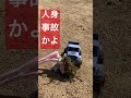 事故w ラジコン　 ラジコンカー ラジコン女子