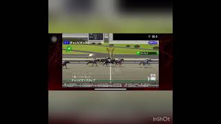 レンキョウ一族　101代目　レンキョウクロウ#shorts #競馬 #スターホースポケット #スタポケ #ゲーム