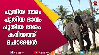 ഒരു ആനക്കൈമാറ്റത്തിന്റെ കഥ | കരിയത്ത് മഹാദേവൻ 02| Kariyath Mahadevan | E for Elephant