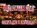 Disneyland Halloween SCREAMS Fireworks - Bayou Country Time Spooky Stream before HHN!