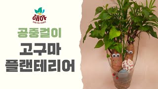 공중걸이 플랜테리어 가든 만들기[나만의 치유정원 만들기 KIT]