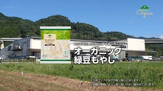 【トップバリュ】グリーンアイオーガニックオーガニック緑豆もやし　商品紹介