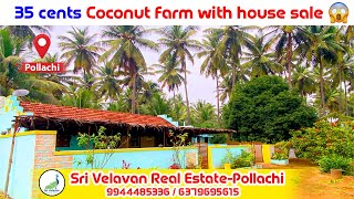 35 cents Coconut farm with house for sale / 35 சென்ட் அழகிய தென்னந்தோப்பு வீட்டுடன் விற்பனைக்கு