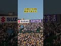 セパ交流戦 始まりました！