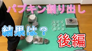 パプアキンイロクワガタ割り出し後編！果たして幼虫は何匹取れたのか