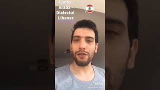 Cum te exprimi in Araba libaneza ?