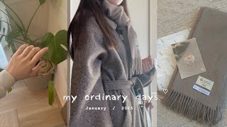 vlog |  1月の日常🧦❄️,米粉のグラノラ作り,マフラー新調🧶,STAUBで自炊✧ 映画鑑賞した休日🇫🇷