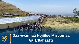 Daawwannaa Hojiilee Misoomaa G/H/Bahaatti