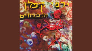 גלי