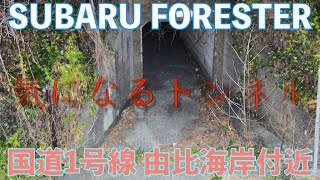 【国道1号線由比海岸付近】以前から気になっていたスマル亭1号店傍の横断歩道を渡った先を、深夜に調査してきました【2019年1月撮影】