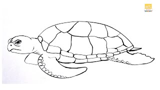 How to draw A Tortoise II Turtle drawing Easy II  part 01 II #artjanag