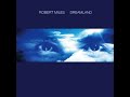 Robert Miles   Children Dream Version