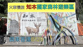 火車慢旅  台東高雄輕旅行 Day3 ep132『跟我搭車遊知本國家森林遊樂區,有哪些步道?山羌就在步道旁,遊客中心體驗千根榕意境館,搭新自強列車欣賞太麻里,金崙美麗的東海岸』4k