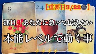 【重要日3/22】連日❗️大切な今日🌚急いであなたに伝えたい❗️緊急メッセージ⚡️本能レベルで動く事⚡️🌈恐ろしいほど当たるルノルマン🔮