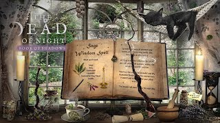 Herbal Magic Ambience 🧹🌿🌻✨ | A Day of Herbal Spells & Rituals | The Dead of Night Book of Shadows