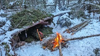 Survival Shelter - Winter Bushcraft Camping in Snow, Campfire Cooking, Post Snow Storm