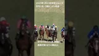 【競馬ハプニング】タイセイカレント（武豊騎手）進路が狭くなり４頭はじく。騎乗停止処分。シンザン記念 #競馬ハプニング #競馬ハプニング #t武豊騎手 #タイセイカレント