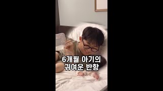 귀여운 6개월 아기가 남편에게 하는 반항