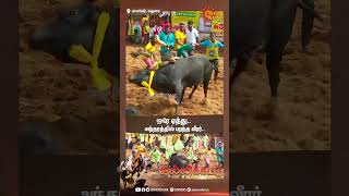 ஒரே ஏத்து.. அந்தரத்தில் பறந்த வீரர்..| Palamedu Jallikattu | Sun News