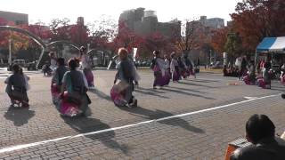 2013 四日市よさこい 飃～FREEDOM～ 市民公園