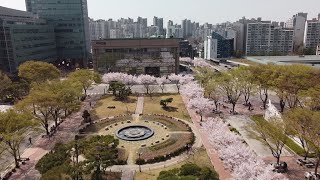 숭실대학교의 봄 2022. 4. 10.