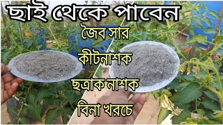 গাছে ছাই দিলে কি হয়,, এর গুনাগুন আসুন জেনে নেই।গাছের ফলকে দ্বিগুণ করতে সাহায্য করবে ছাই।