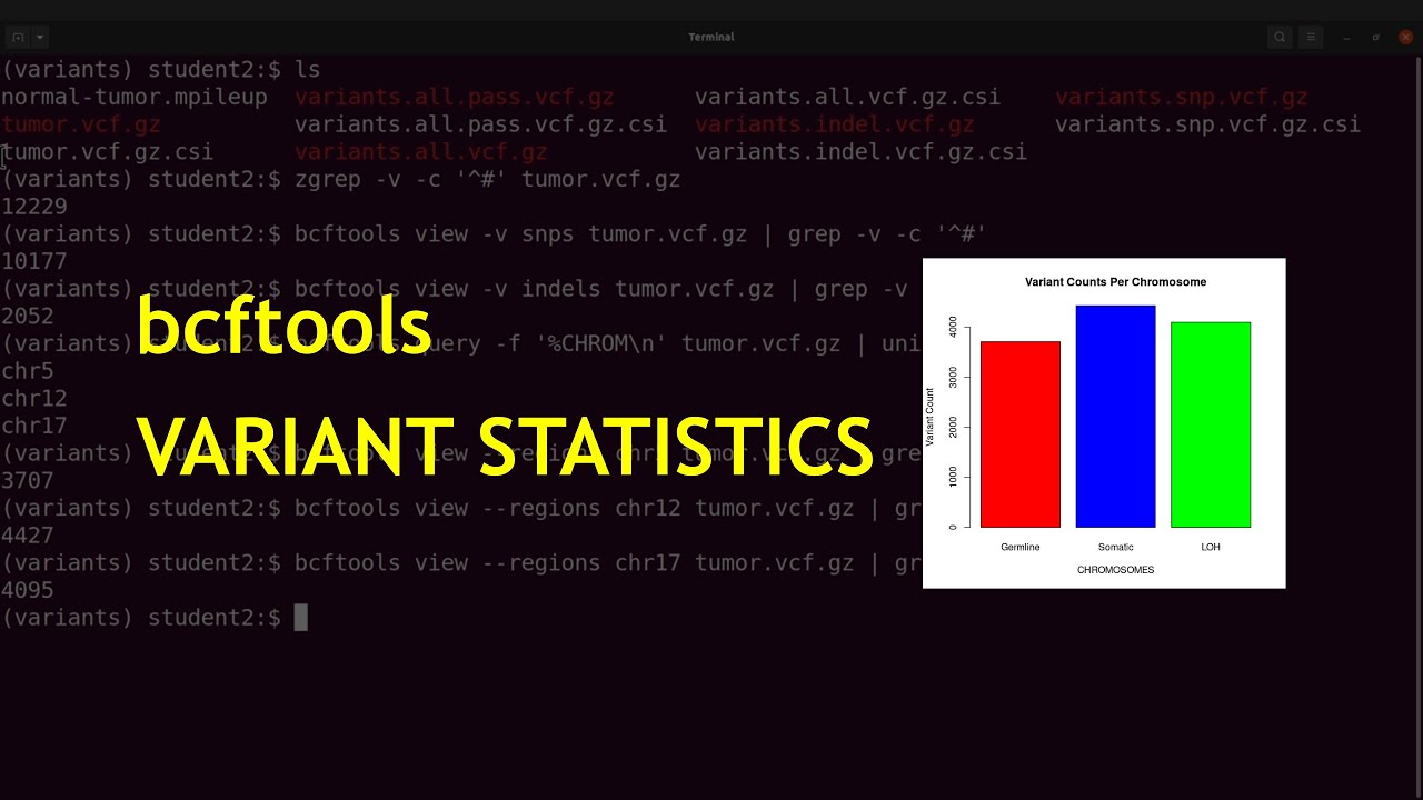 Bcftools Variant Statistics Youtube