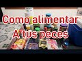 Como alimentar a mis peces??