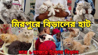 মিরপুর ১ বিড়ালের হাট_Persian,Mixed breed cat_Biraler dam 2025_persian kitten, bengal cat