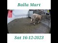 ballamart saturday 16 12 2023