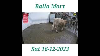 #ballamart Saturday 16-12-2023