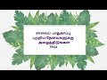 சாலையைப் படியுங்கள் தொடர் மஞ்சள் கோடு