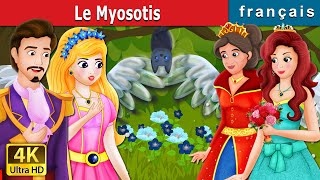 Le Myosotis | Forget Me Not Story | Contes De Fées Français @FrenchFairyTales