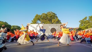 [4K] 京炎 そでふれ！彩京前線 『彩灯』　のつきみ祭 2019