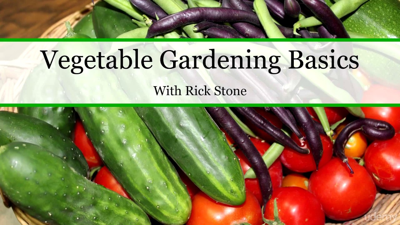 Garden Basics - YouTube