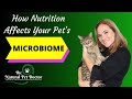 How Nutrition Affects Your Pet's Microbiome with Dr. Katie Woodley - The Natural Pet Doctor