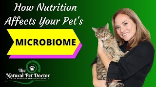 How Nutrition Affects Your Pet's Microbiome with Dr. Katie Woodley - The Natural Pet Doctor