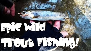 Wild Rainbow Trout Fishing NonStop! Secret SoCal Best Fishing Creek