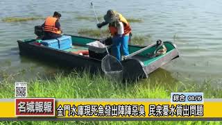 名城報報-金門水庫現死魚發出陣陣惡臭  民眾憂水質出問題