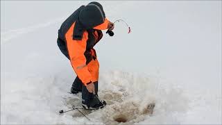 Evon Niemisjärvet. Rainbow Trout .Winter fishing  march 24, 2018