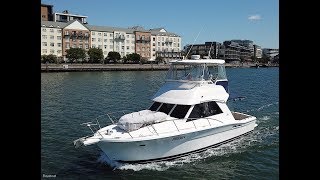 Riviera 36 Platinum Flybridge Cruiser - Walkthrough