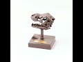 4M - KidzLabs - Roaring T-Rex Skull