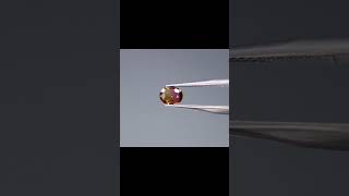 天然バイカラートルマリン 0.453ct【P129】ソーティング付き　#ルース #トルマリン #宝石 #バイカラートルマリン　#shorts